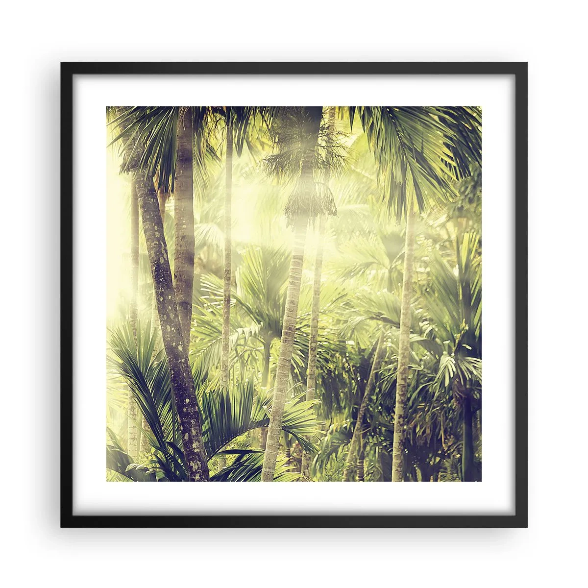 Poster in einem schwarzem Rahmen - In grüner Hitze - 50x50 cm