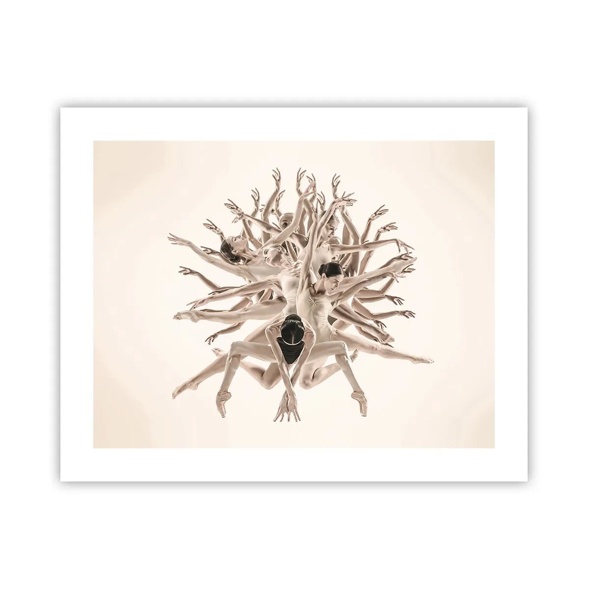 Poster - Aufblühen im Tanz - 50x40 cm