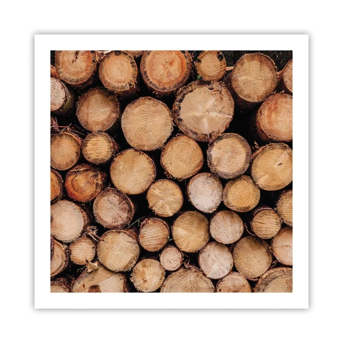 Poster - Ein neuer Anfang - 60x60 cm