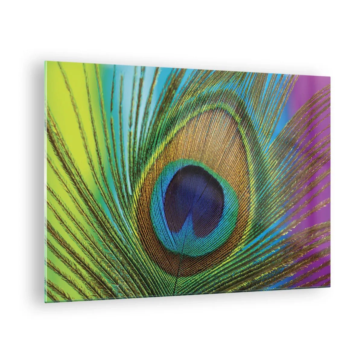 Glasbild - Bild auf glas - Eine Nahaufnahme einer bunten Pfauenfeder - 70x50cm - Auge in Auge - Moderne Wanddekoration für Wohnzimmer und Schlafzimmer ARTTOR