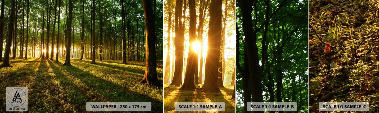 Fototapetenmuster Standard Eco - Alle Frühlingsfotografie - Landschaft, Wald, Natur - 100x30 cm