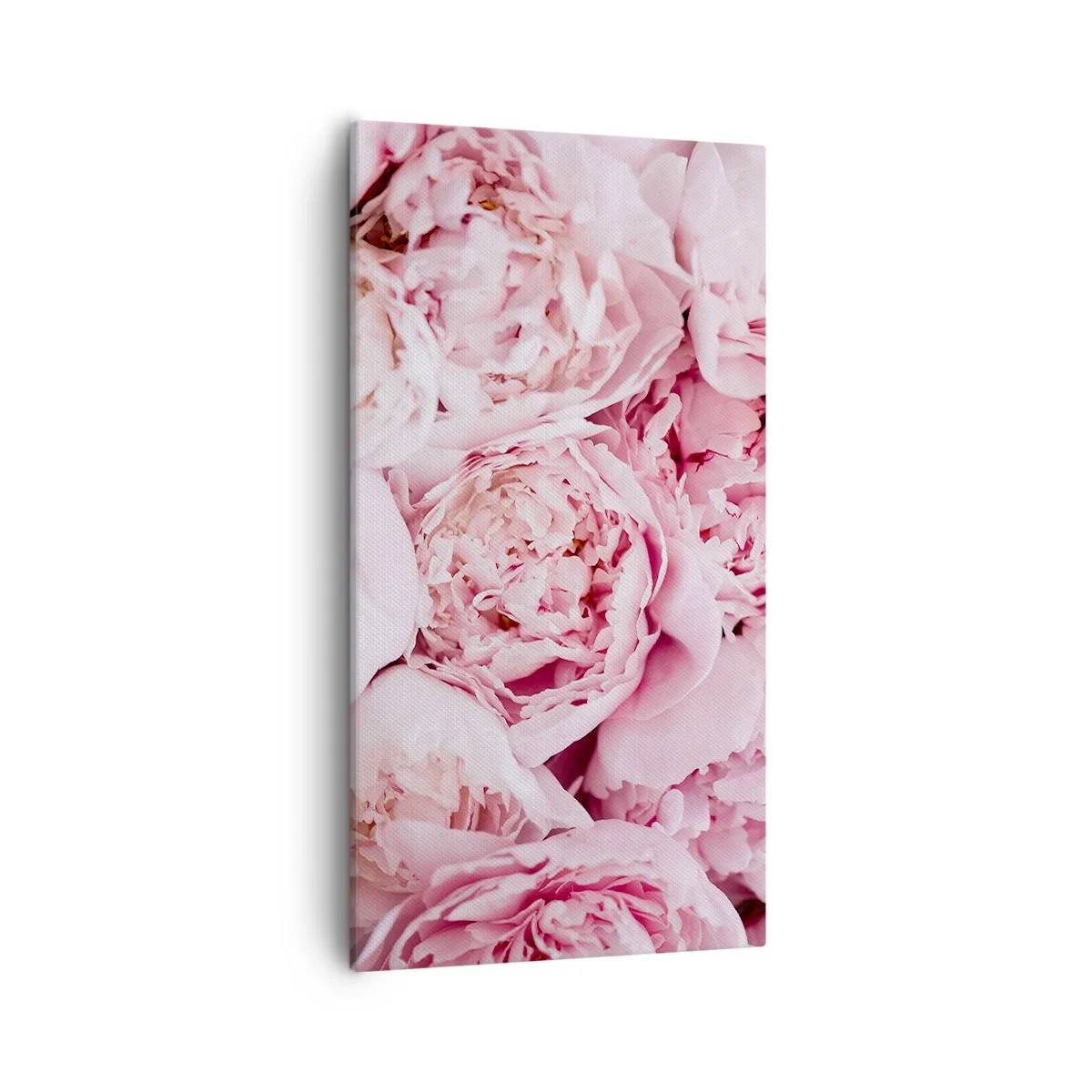 Bild auf Leinwand - Leinwandbild - Anschmiegsam und duftend - 55x100 cm