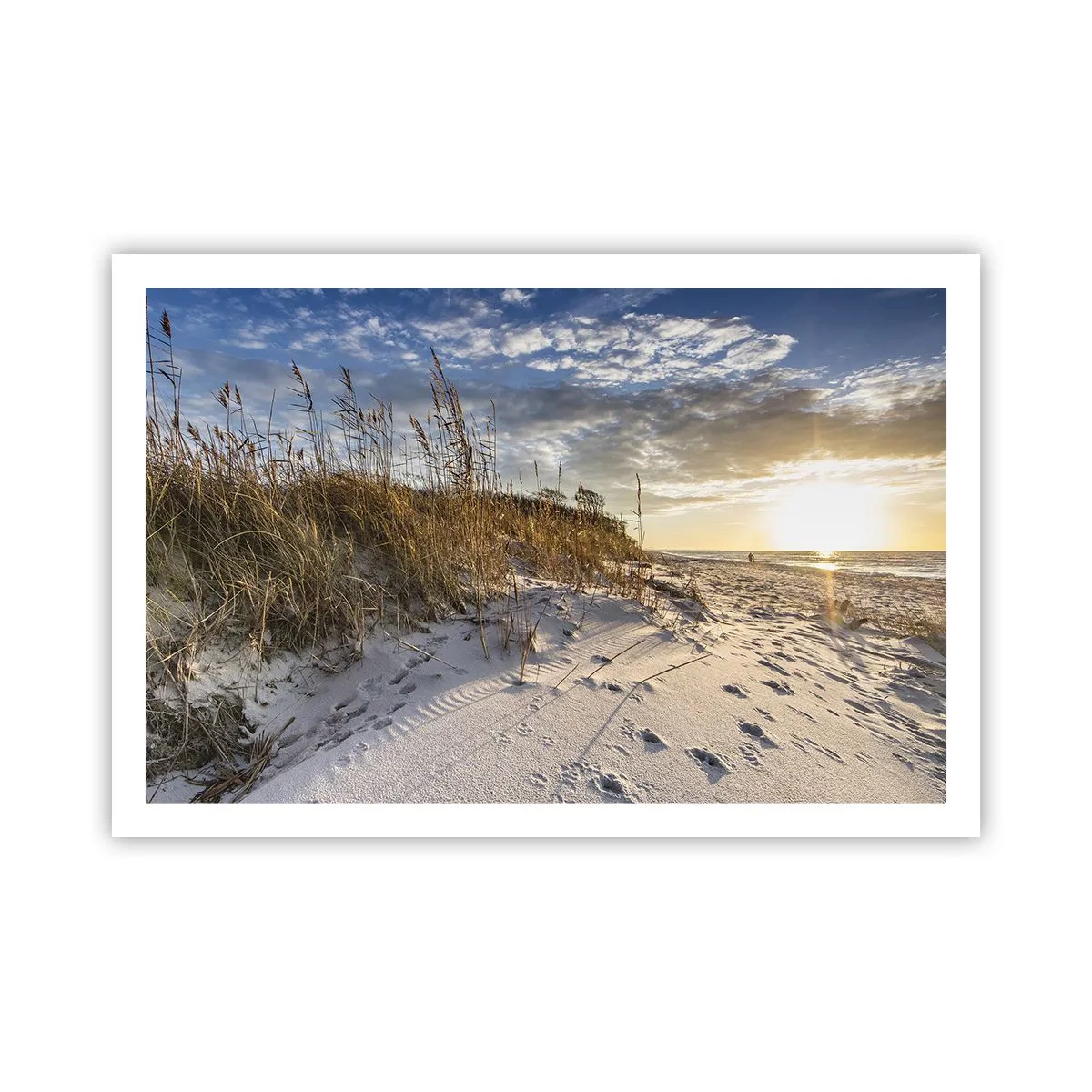 Poster - Einladung zu einem Spaziergang - 91x61 cm