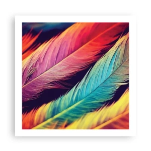 Poster - Gefiederter Regenbogen - 60x60 cm