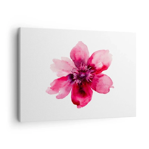 Bild auf Leinwand - Leinwandbild - Rosa Blume im Aquarellstil auf weißem Hintergrund - 70x50cm - Ein nach Karmin duftender Kuss - Moderne Wanddekoration für Wohnzimmer und Schlafzimmer ARTTOR