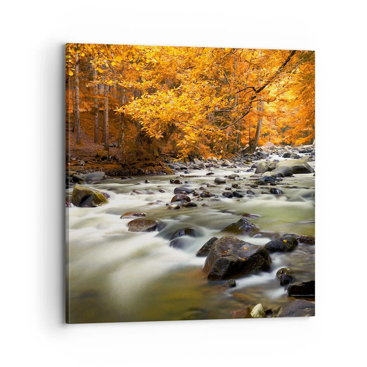 Bild auf Leinwand - Leinwandbild - Ein Bach in einem goldenen Wald - 70x70 cm