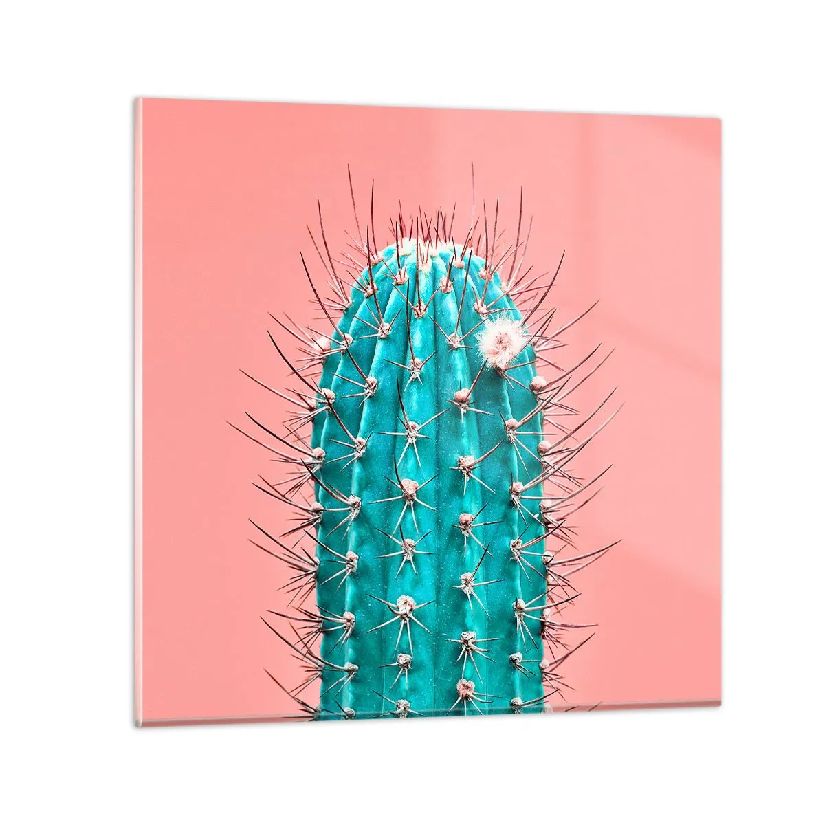 Glasbild - Bild auf glas - Schau einfach hin - 60x60 cm