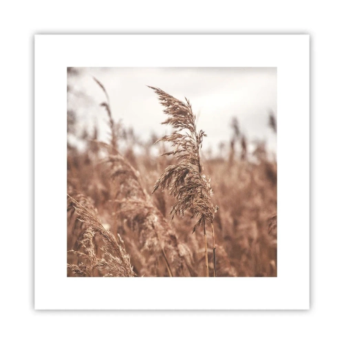 Poster - Auf den Feldern ist es schon Herbst - 30x30 cm