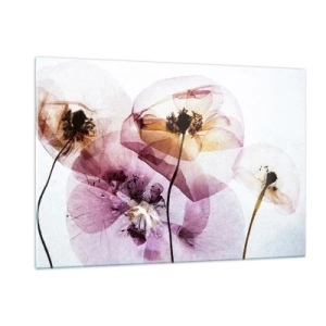 Glasbild - Bild auf glas - Zarte Blüten in transparenten Pastellfarben auf hellem Untergrund - 120x80cm - Transparente Körperblumen - Moderne Wanddekoration für Wohnzimmer und Schlafzimmer ARTTOR