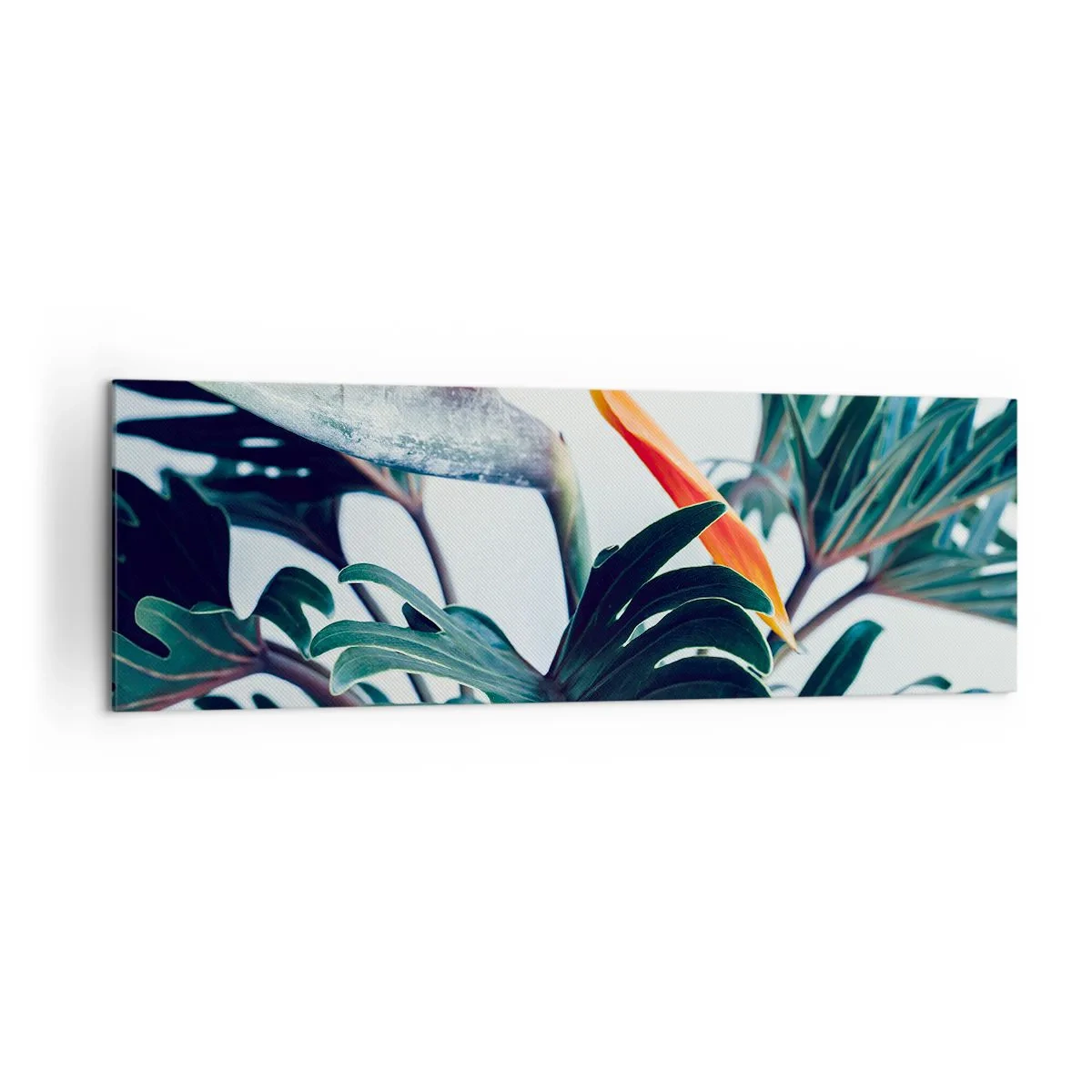 Bild auf Leinwand - Leinwandbild - Strelitzia-Blüte, umgeben von Blättern in hellem Licht - 160x50cm - Vogelbusch - Moderne Wanddekoration für Wohnzimmer und Schlafzimmer ARTTOR