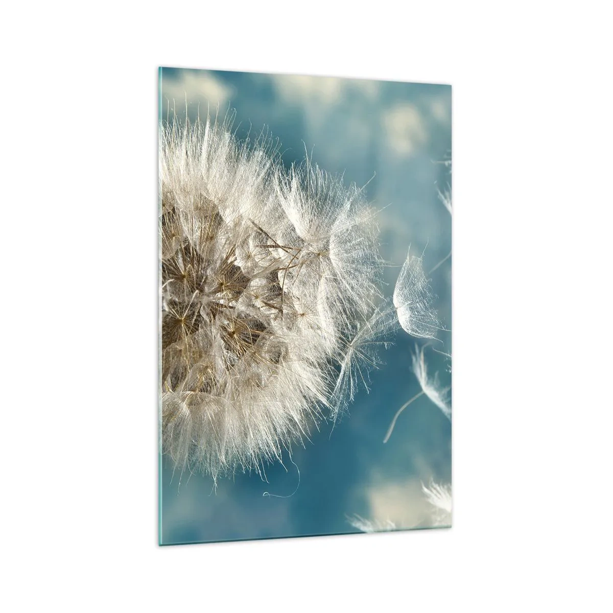 Glasbild - Bild auf glas - Ein verwelkter Löwenzahn vor blauem Himmel - 70x100cm - Engelsatem - Moderne Wanddekoration für Wohnzimmer und Schlafzimmer ARTTOR