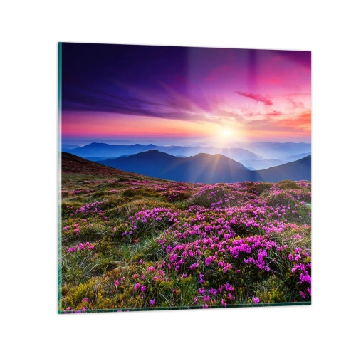 Glasbild - Bild auf glas - Kräuter dufteten nach frischen Trauben von den Feldern - 70x70 cm