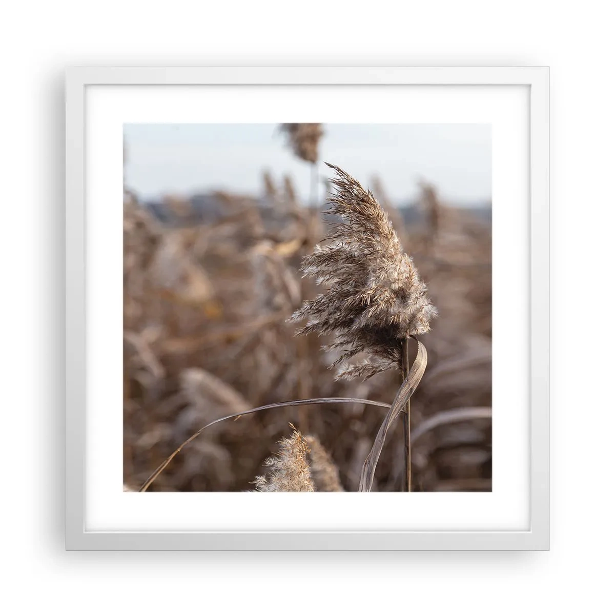 Poster in einem weißen Rahmen - Zeit, mit dem Wind zu gehen - 40x40 cm