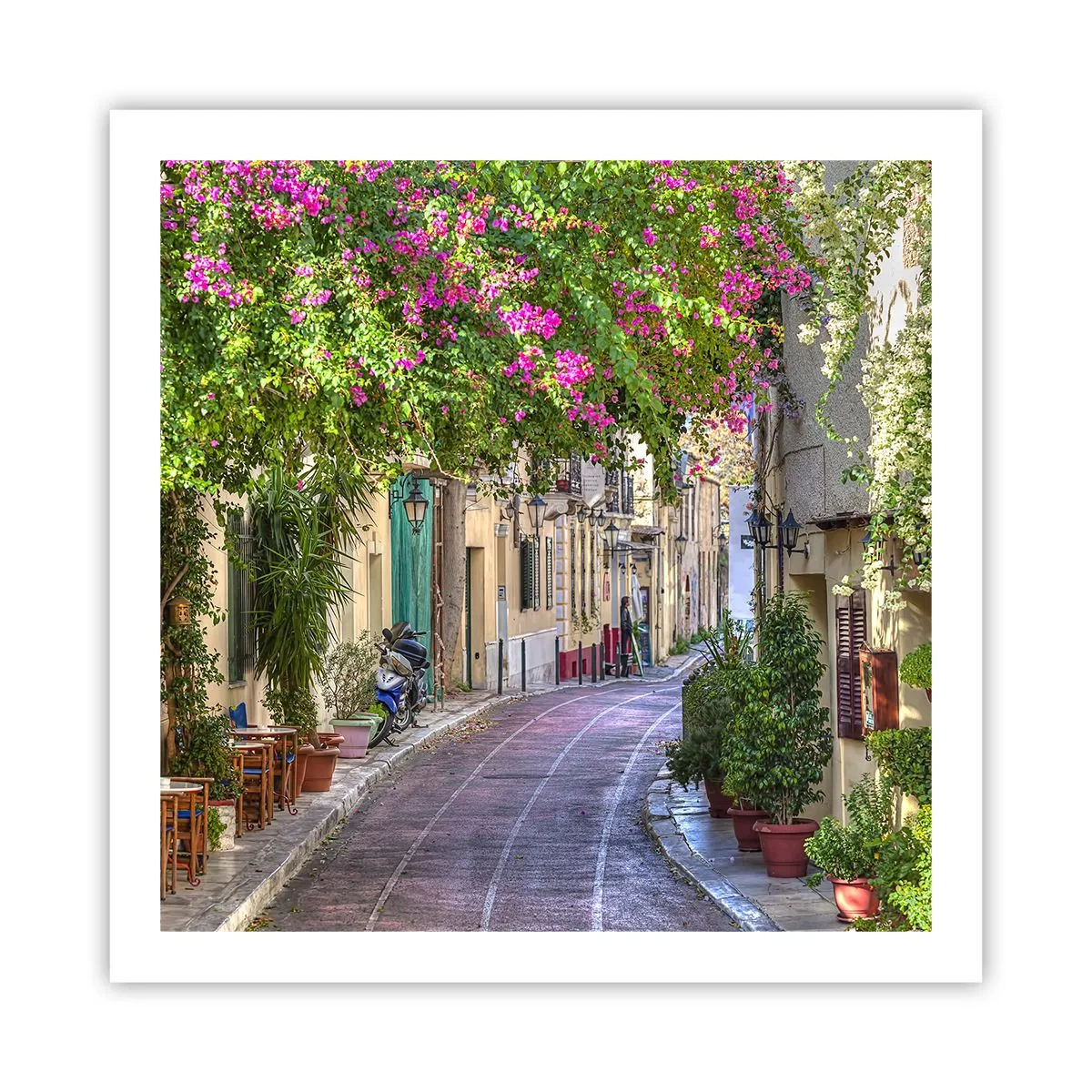 Poster - Blühende Gasse - 60x60 cm