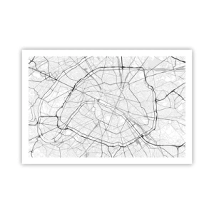 Poster - Pariser Blume - 91x61 cm