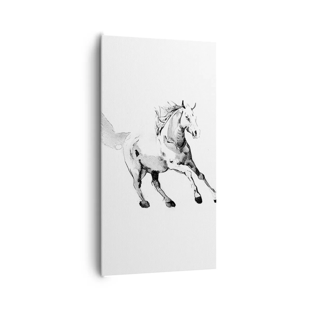 Bild auf Leinwand - Leinwandbild - Ungezähmte Seele - 65x120 cm