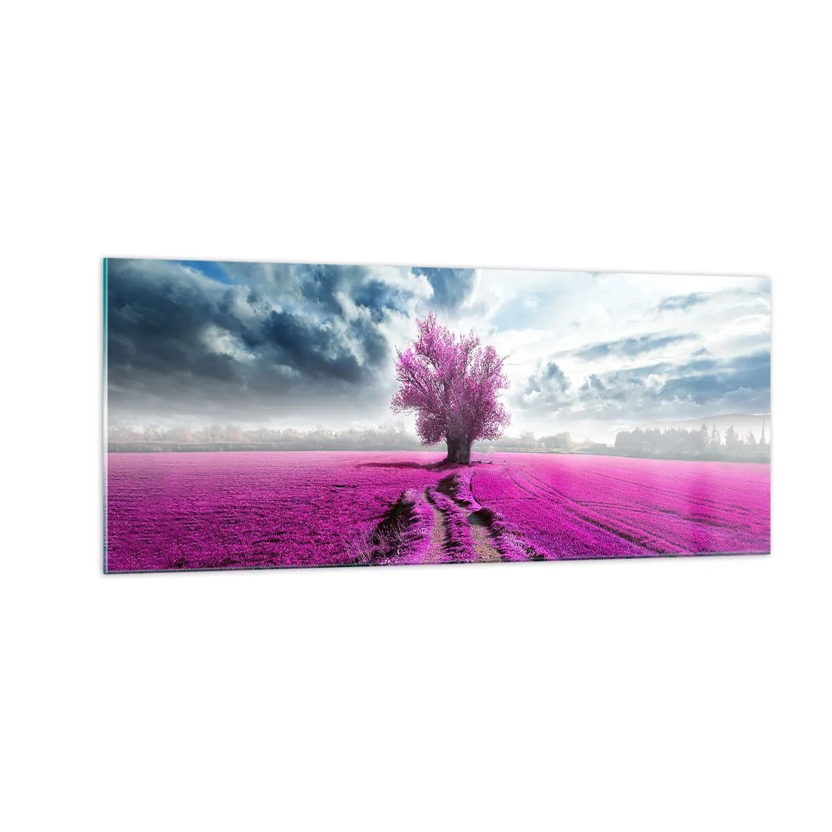 Glasbild - Bild auf glas - Heide - Wildnis - 100x40 cm