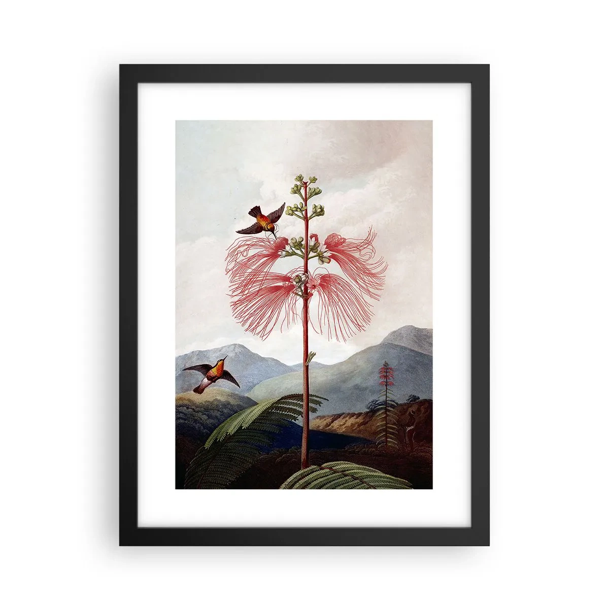 Poster in einem schwarzem Rahmen - In einem tropischen Paradies - 30x40 cm