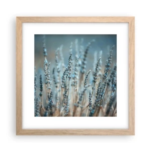 Poster in einem Rahmen aus heller Eiche - Duftendes Kornfeld - 30x30 cm