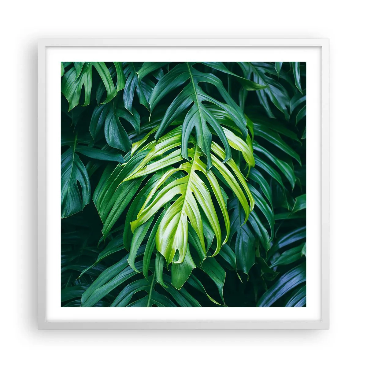 Poster in einem weißen Rahmen - Tauchen Sie ein in die Frische - 60x60 cm