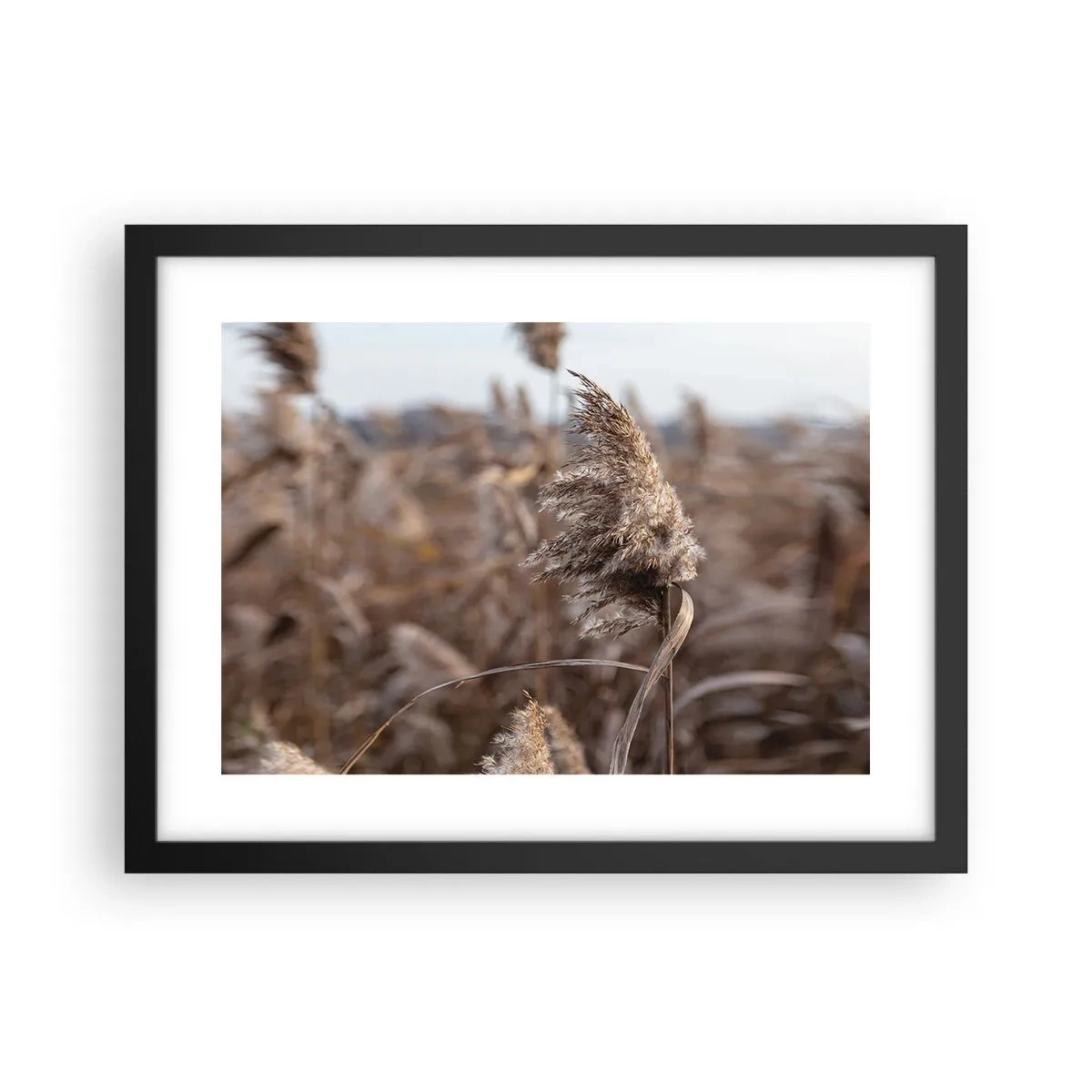 Poster in einem schwarzem Rahmen - Zeit, mit dem Wind zu gehen - 40x30 cm