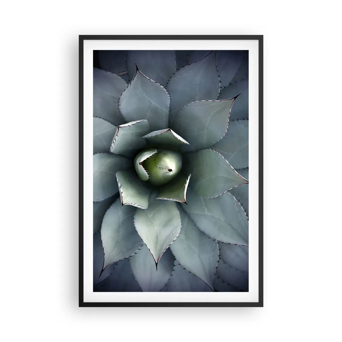 Poster in einem schwarzem Rahmen - Es lockt an und warnt - 61x91 cm