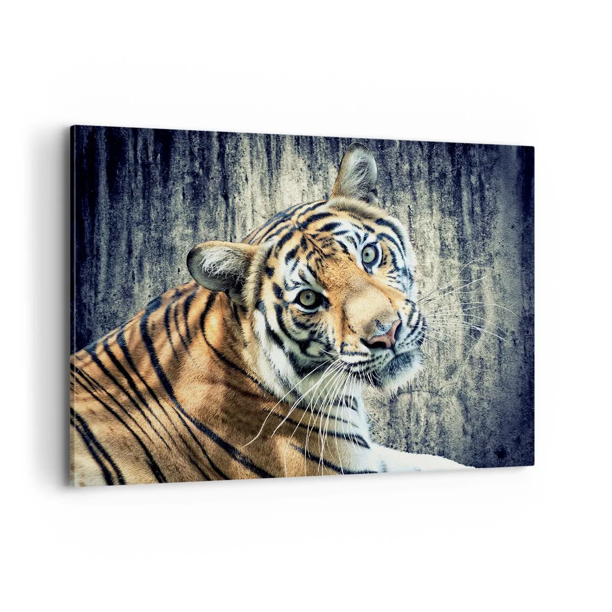 Bild auf Leinwand - Leinwandbild - Ein Tiger liegt an einer rauen Wand - 100x70cm - Portrait in Lichtstrahlen - Moderne Wanddekoration für Wohnzimmer und Schlafzimmer ARTTOR