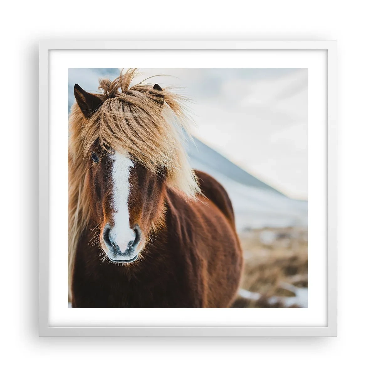 Poster in einem weißen Rahmen - Spürst du die Freiheit? - 50x50 cm