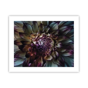 Poster - Die Blütezeit der Jugend - 50x40 cm