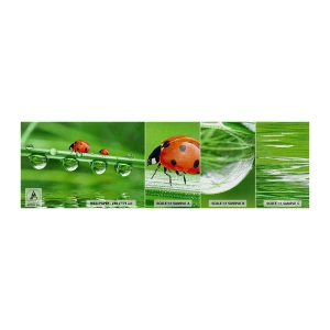 Fototapeten Muster Premium Canvas - Den ganzen Sommer unterwegs - Marienkäfer, Ein Wassertropfen, Natur - 100x30 cm