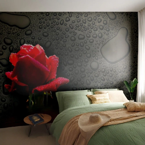 Fototapete Premium Sand - Eine rote Rose vor einem Hintergrund aus schwarzen Wassertropfen - 100x70cm - rot und Schwarz - Moderne Wanddekoration für Wohnzimmer und Schlafzimmer ARTTOR