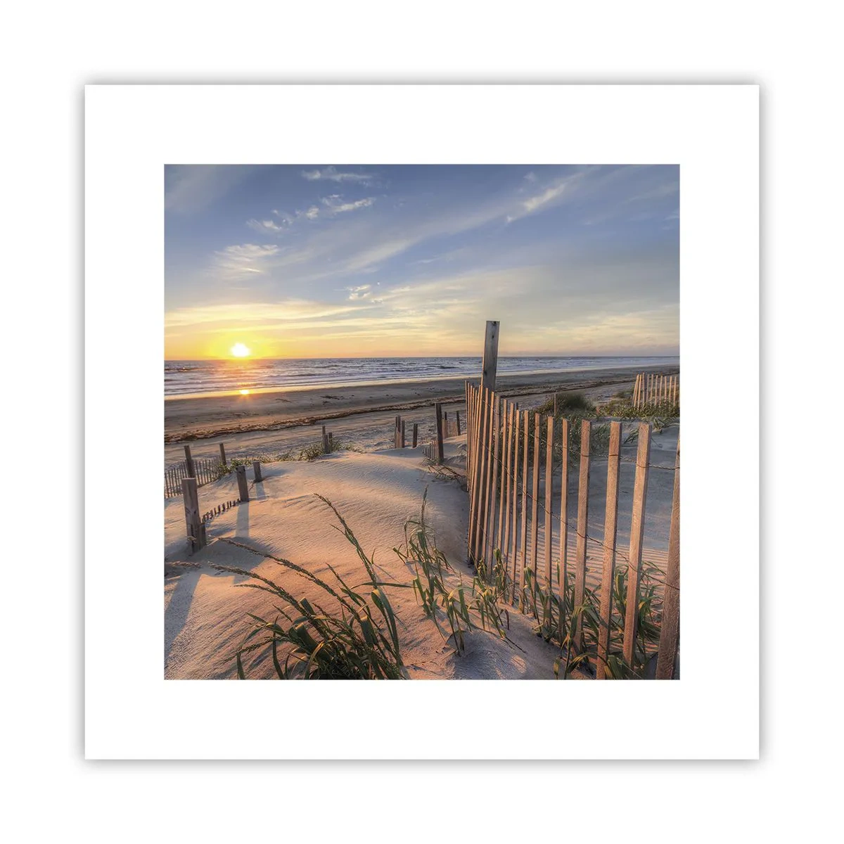 Poster - Schein und Schatten des Windes - 30x30 cm