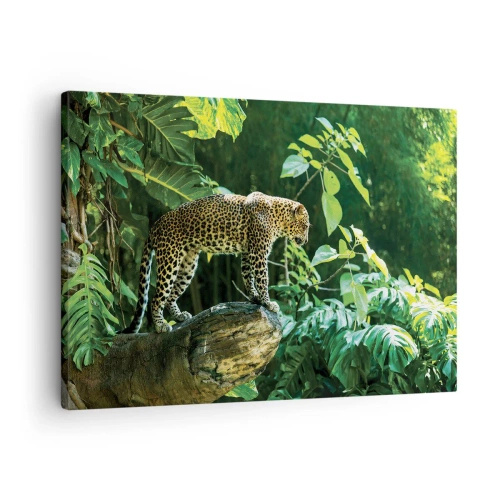 Bild auf Leinwand - Leinwandbild - Ein Leopard steht auf einem Felsen, umgeben von tropischer Vegetation - 70x50cm - Auf die Jagd? - Moderne Wanddekoration für Wohnzimmer und Schlafzimmer ARTTOR