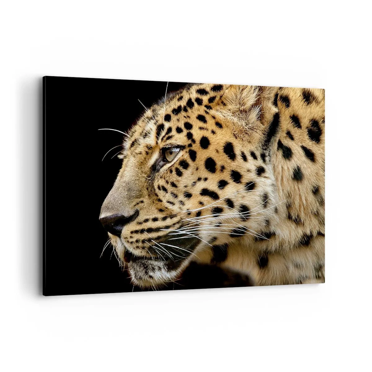 Bild auf Leinwand - Leinwandbild - Nahaufnahme des Kopfes eines Leoparden vor schwarzem Hintergrund - 120x80cm - Ruhig, fokussiert, bereit - Moderne Wanddekoration für Wohnzimmer und Schlafzimmer ARTTOR
