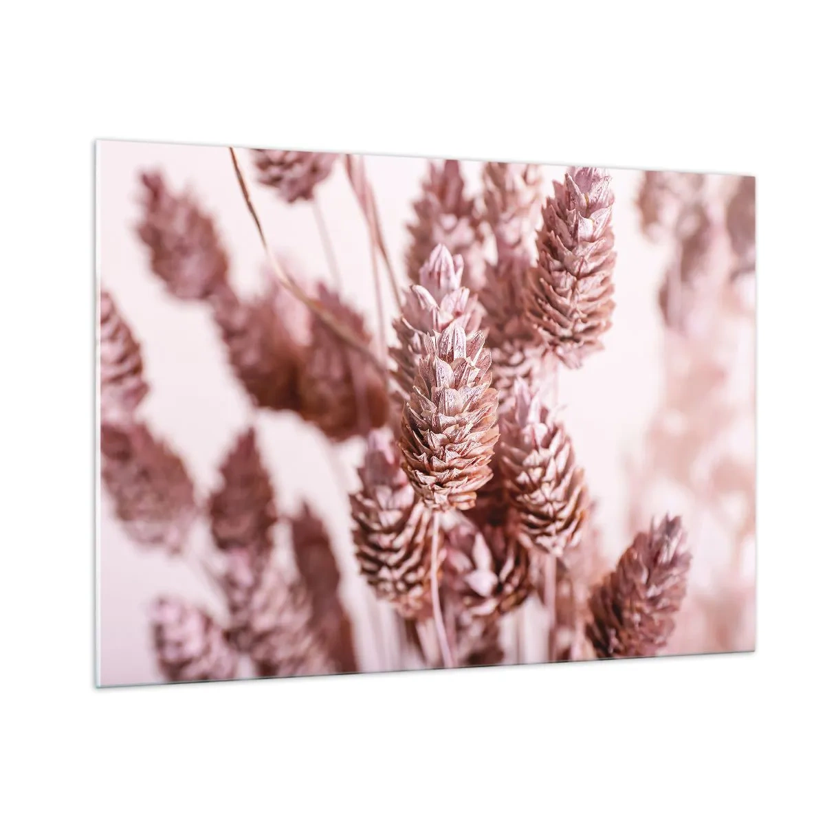 Glasbild - Bild auf glas - Getrocknete Grashalme in Puderrosa-Tönen - 100x70cm - Scheinbar unauffällig - Moderne Wanddekoration für Wohnzimmer und Schlafzimmer ARTTOR