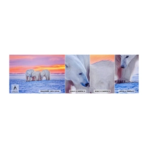 Fototapetenmuster Standard Eco - Familienwärme ist genug - Tiere, Eisbär, Schnee - 100x30 cm