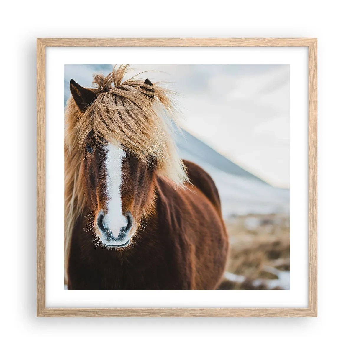 Poster in einem Rahmen aus heller Eiche - Spürst du die Freiheit? - 50x50 cm