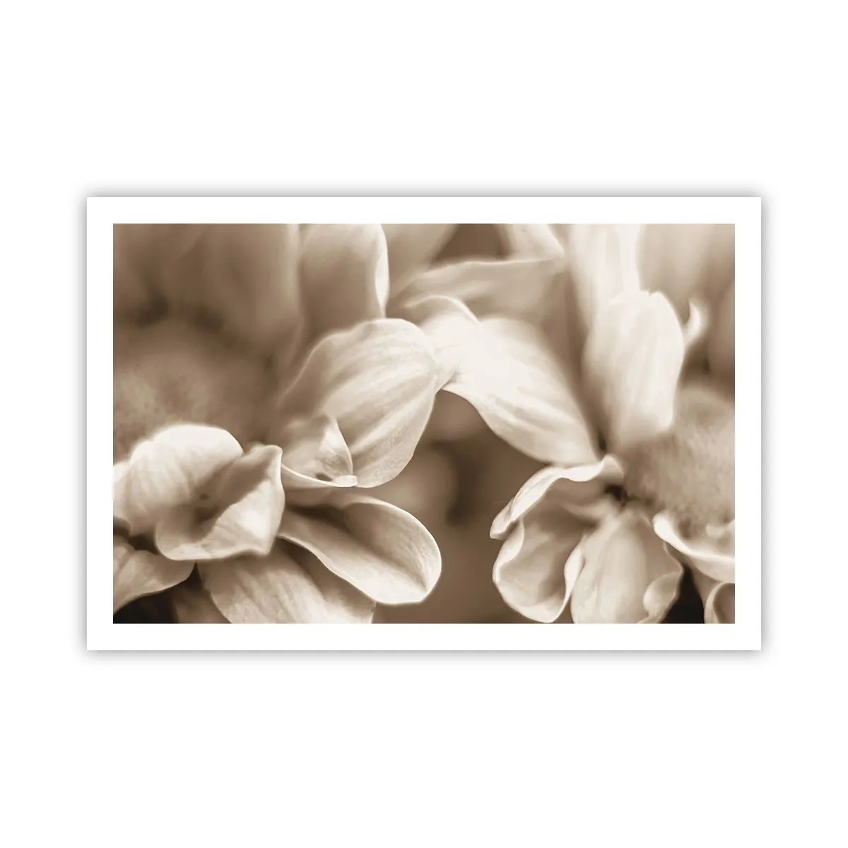 Poster - So sanft wie ein Lächeln - 91x61 cm