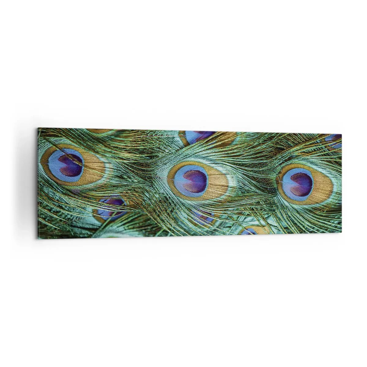 Bild auf Leinwand - Leinwandbild - Details von Pfauenfedern in satten Farben - 160x50cm - Ein Blick mit Pfauenaugen - Moderne Wanddekoration für Wohnzimmer und Schlafzimmer ARTTOR