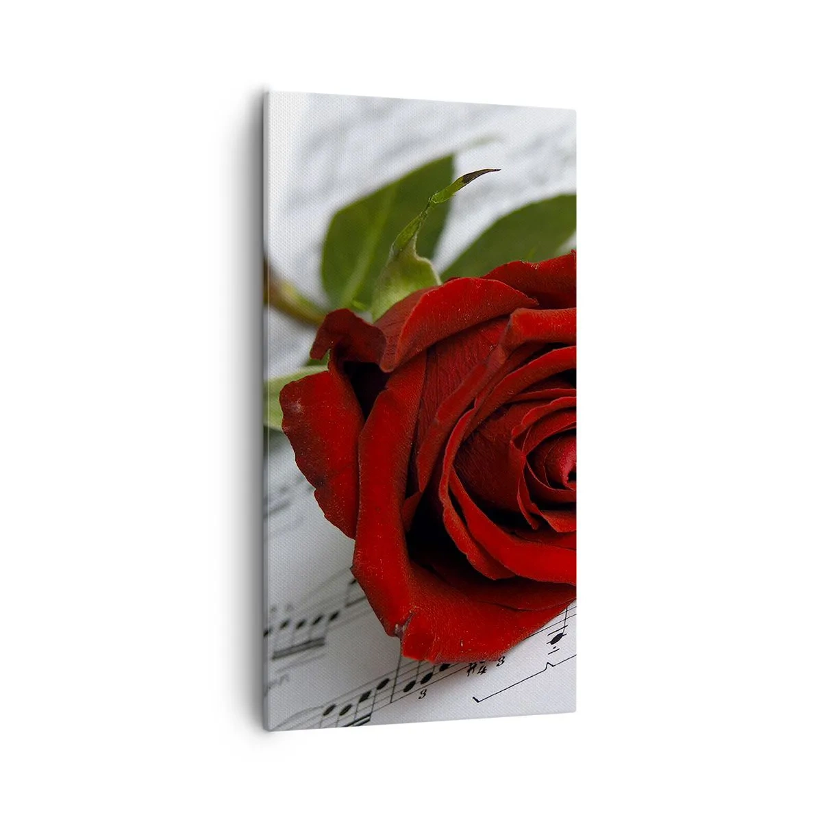 Bild auf Leinwand - Leinwandbild - Musik der Gefühle in Scharlach - 55x100 cm