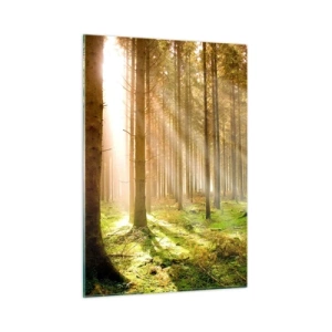 Glasbild - Bild auf glas - Sonnenstrahlen dringen durch die Bäume im Wald - 50x70cm - Die Elfen werden bald erscheinen - Moderne Wanddekoration für Wohnzimmer und Schlafzimmer ARTTOR