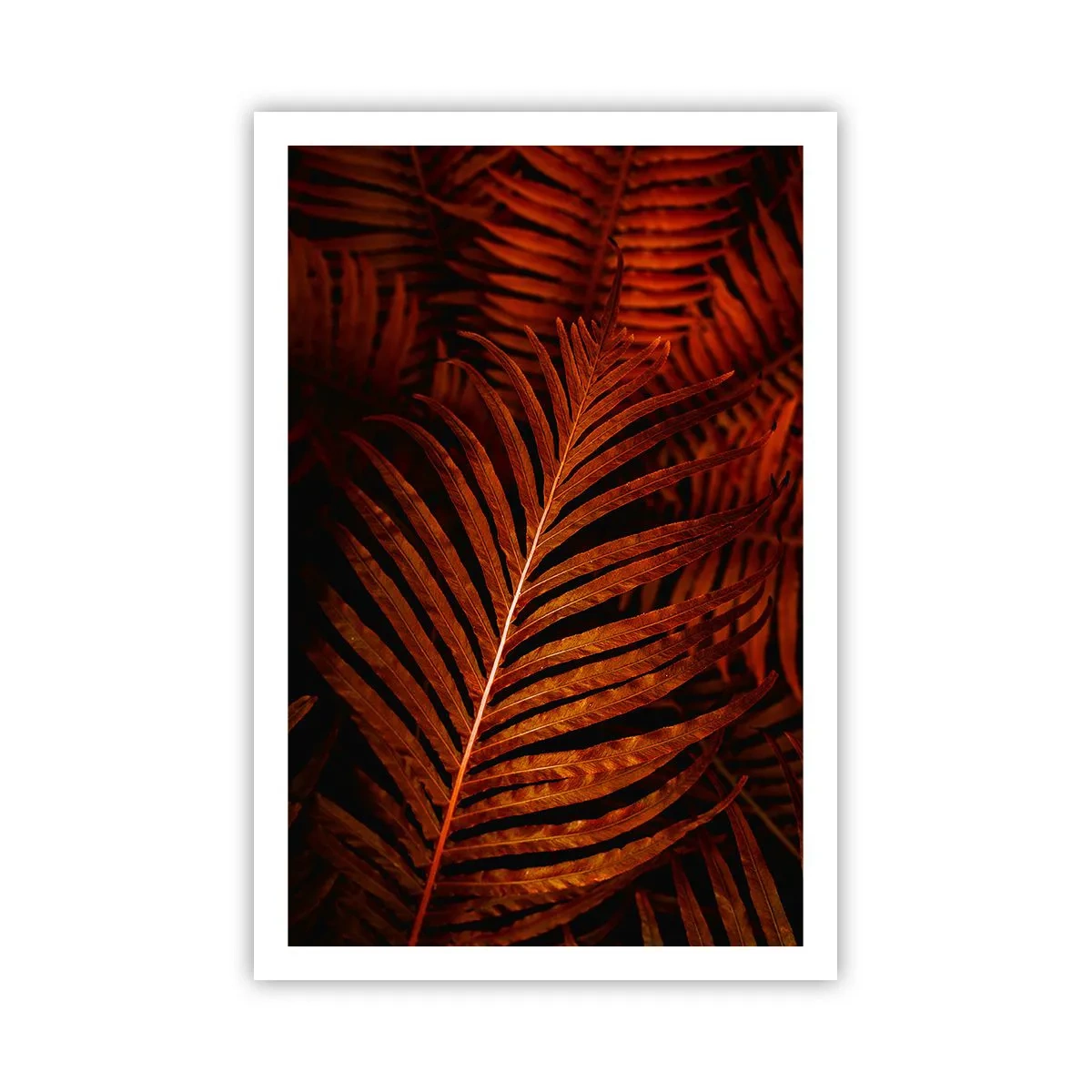 Poster - Die Hitze des Lebens - 61x91 cm