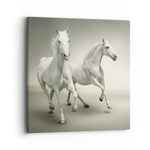 Bild auf Leinwand - Leinwandbild - Weiße Macht! - 40x40 cm