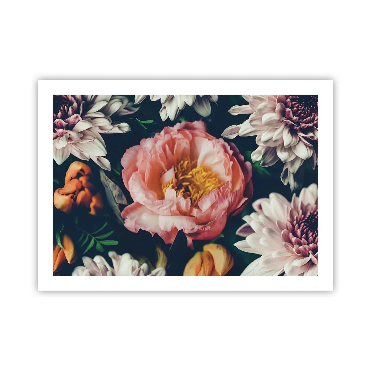 Poster - Mit barocker Pracht - 70x50 cm