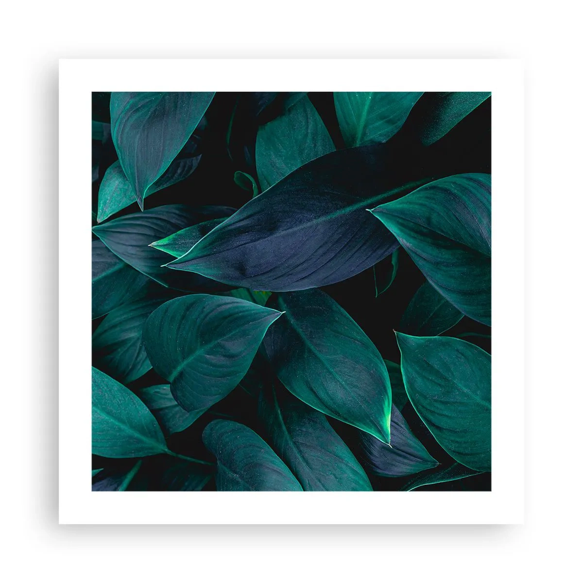Poster - Grün in sich selbst - 50x50 cm