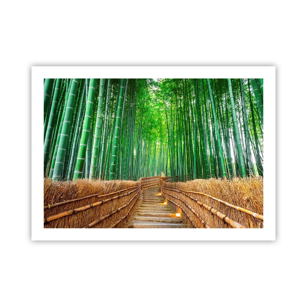 Poster - Die Essenz der asiatischen Natur - 70x50 cm