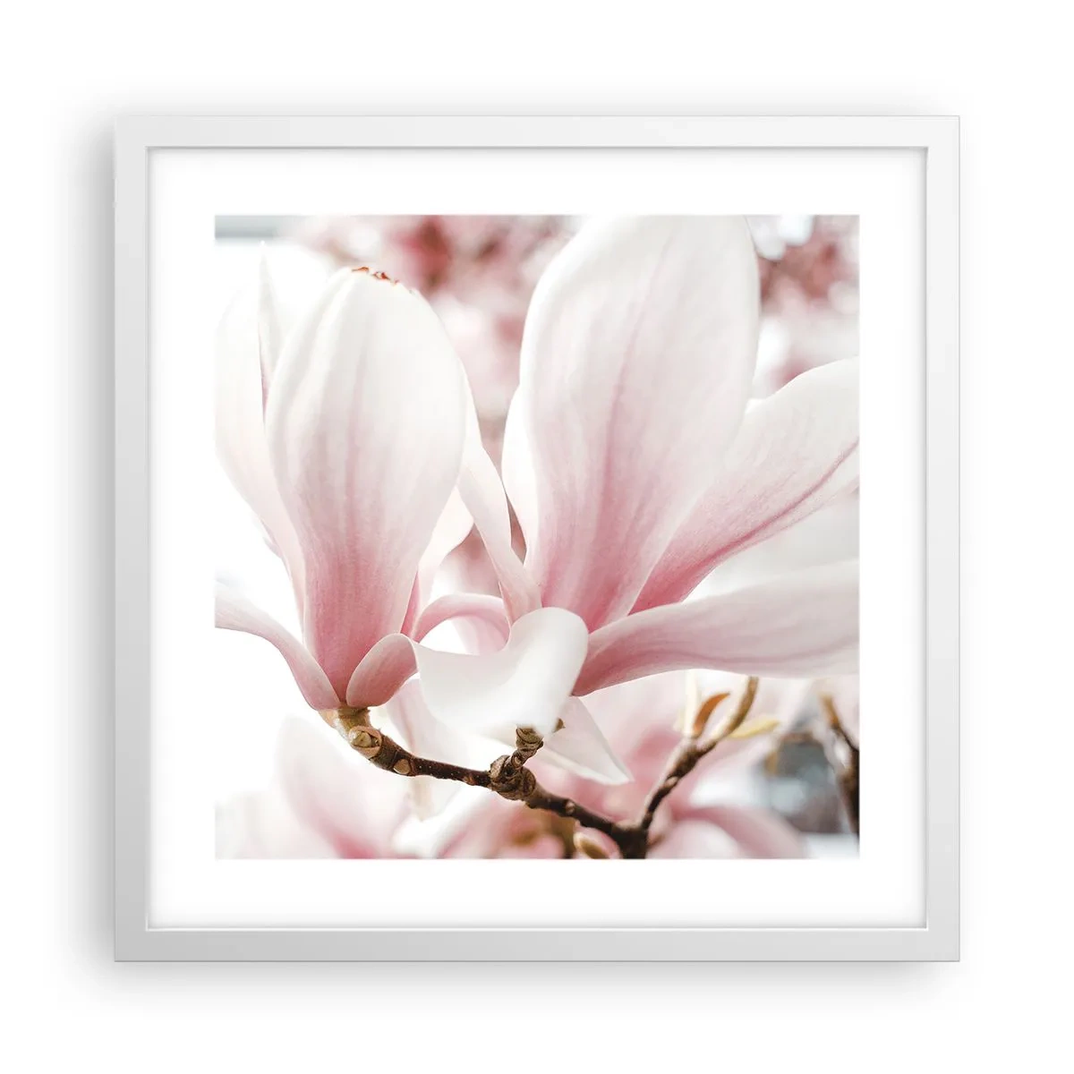 Poster in einem weißen Rahmen - Eine Fülle von Zärtlichkeit - 40x40 cm