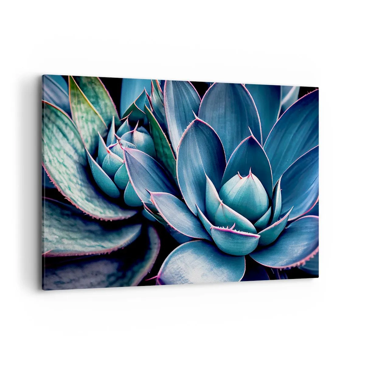 Bild auf Leinwand - Leinwandbild - Agave in Blau- und Grüntönen mit rosa Akzenten - 100x70cm - Lebenskraft - Moderne Wanddekoration für Wohnzimmer und Schlafzimmer ARTTOR