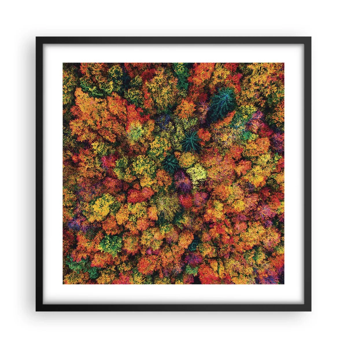 Poster in einem schwarzem Rahmen - Blumenstrauß aus Herbstbäumen - 50x50 cm
