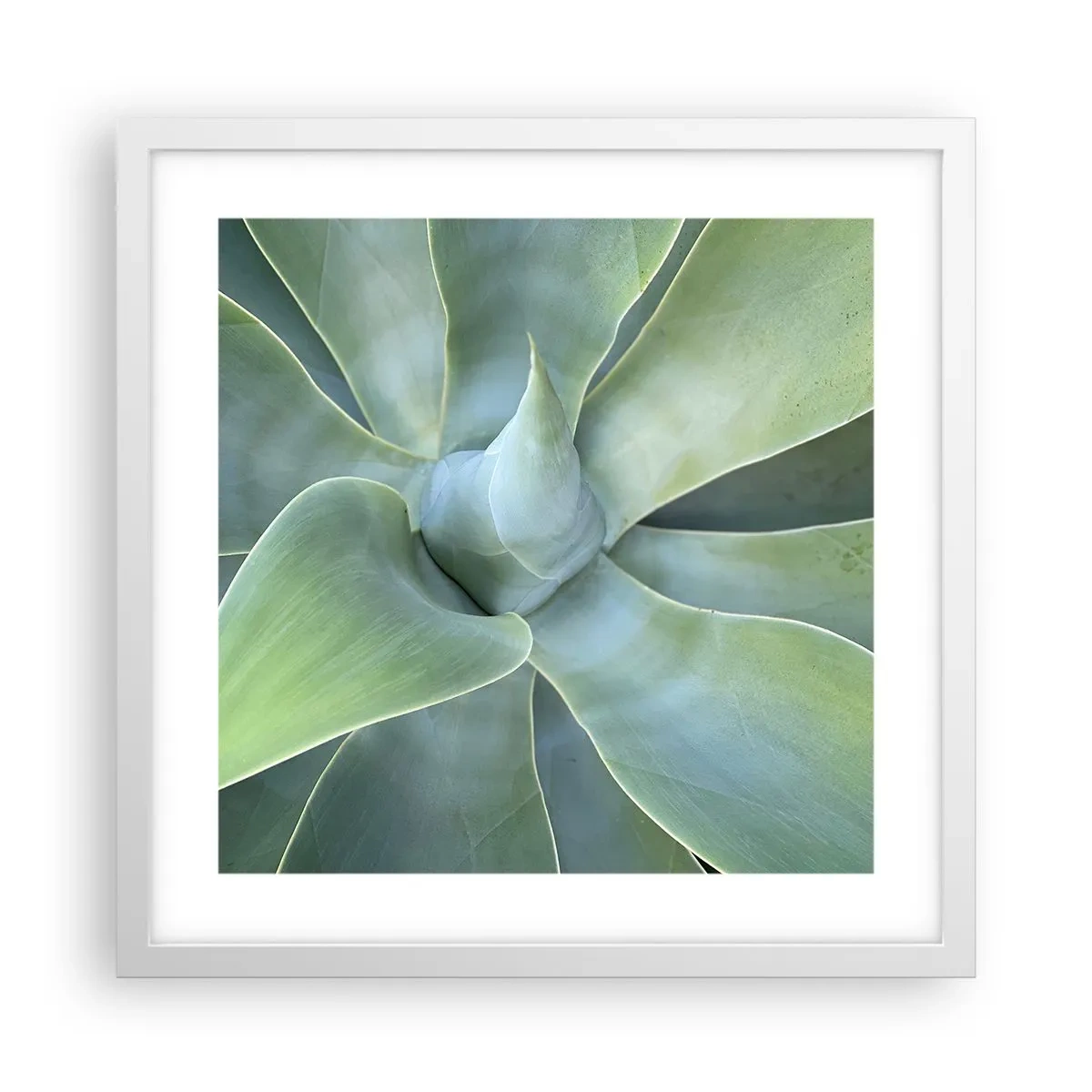 Poster in einem weißen Rahmen - Geburt des Grüns - 40x40 cm